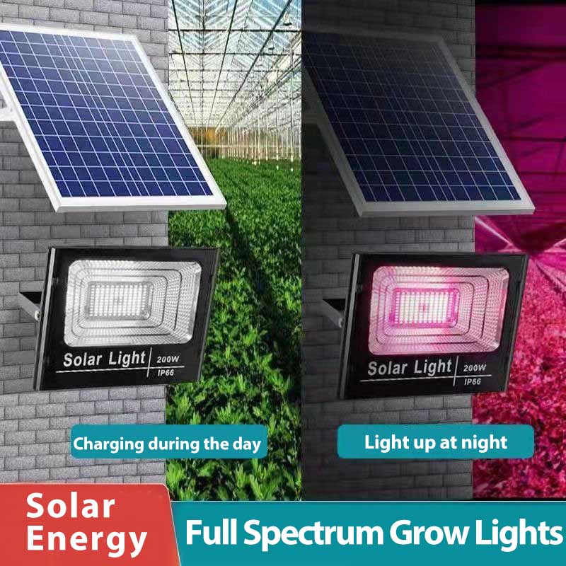 LED-plantenkweeklampen op zonn - Renewable Energy Project recensie en prijs