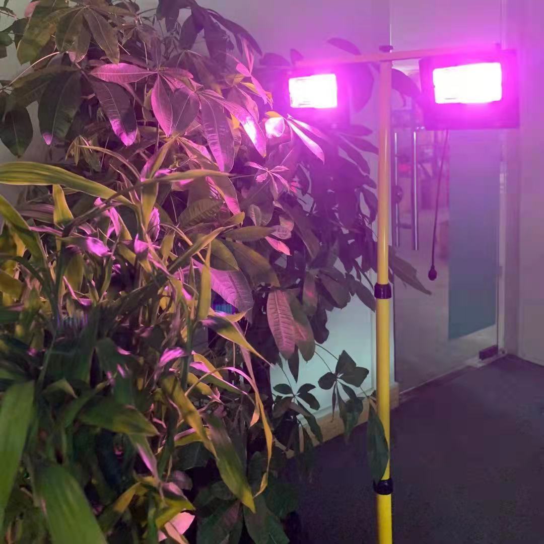 LED-plantenkweeklampen op zonn - Renewable Energy Project recensie en prijs